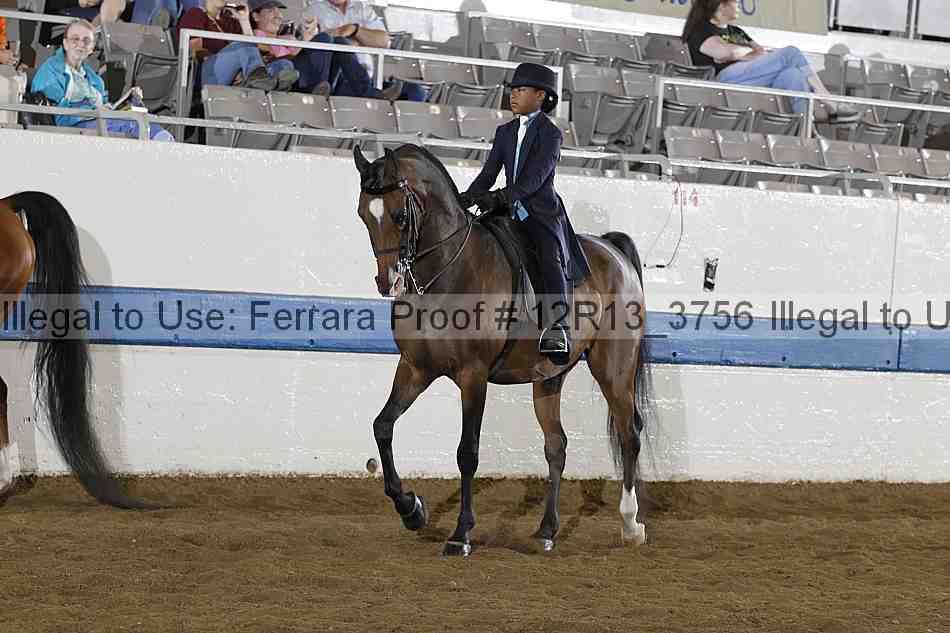 Proof 12r13_3756