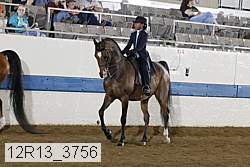 12r13_3756 proof