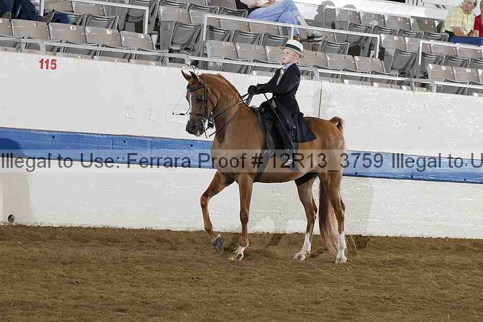 Proof 12r13_3759