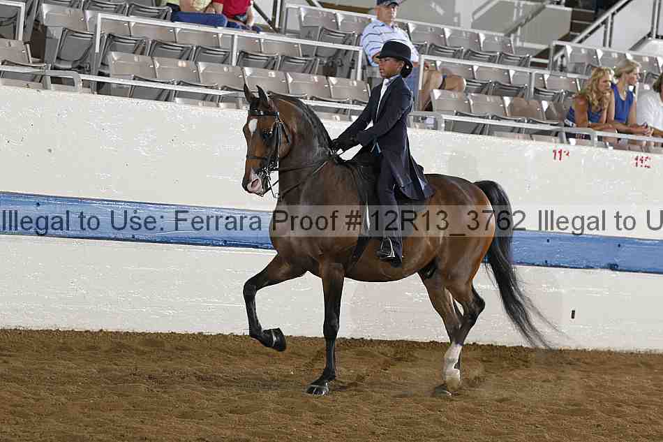 Proof 12r13_3762