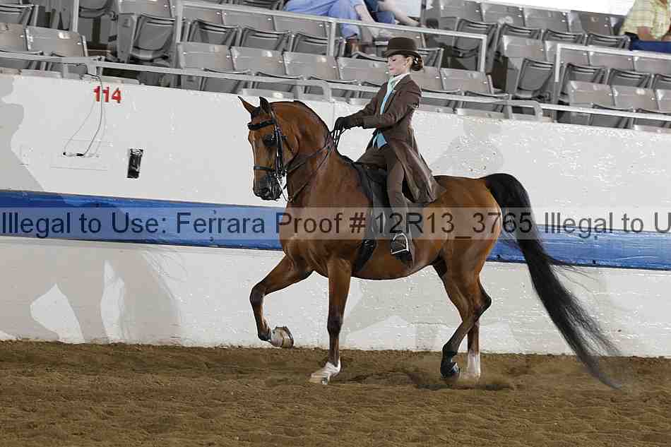 Proof 12r13_3765