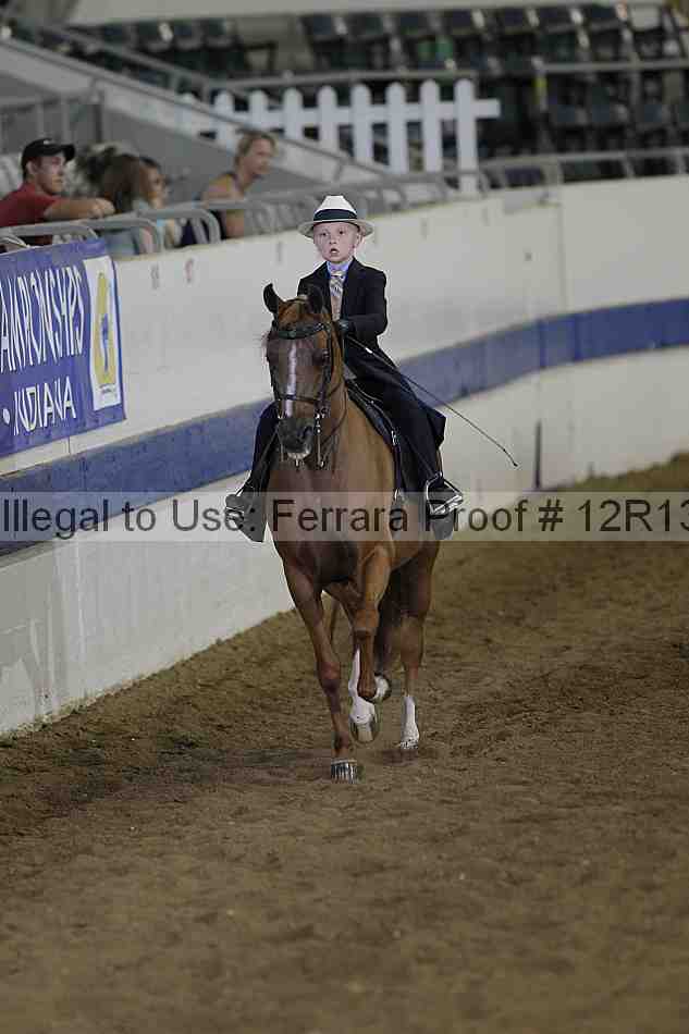 Proof 12r13_3769