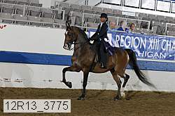 12r13_3775 proof