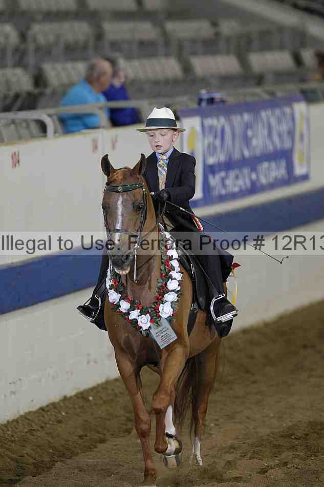Proof 12r13_3783