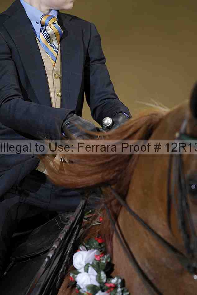 Proof 12r13_3785