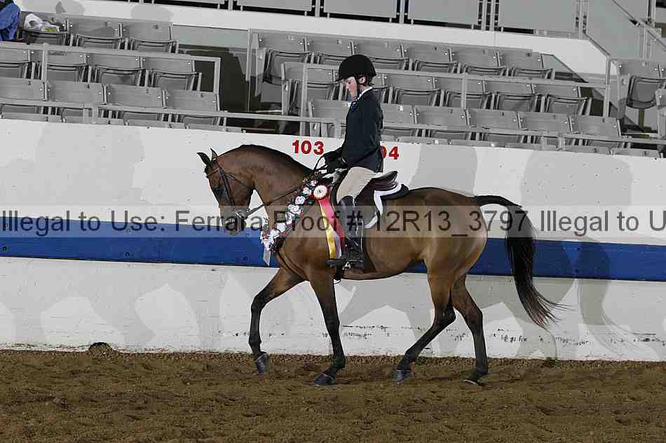 Proof 12r13_3797