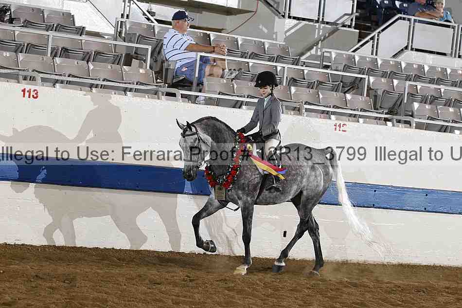 Proof 12r13_3799