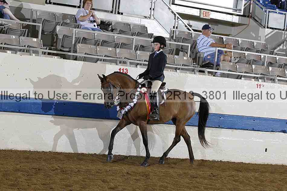 Proof 12r13_3801
