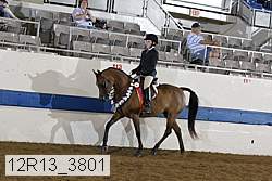 12r13_3801 proof