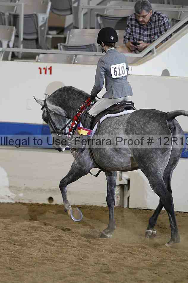 Proof 12r13_3806
