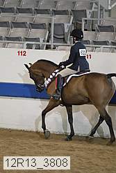 12r13_3808 proof