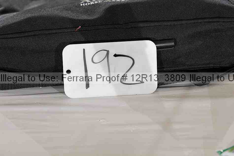 Proof 12r13_3809