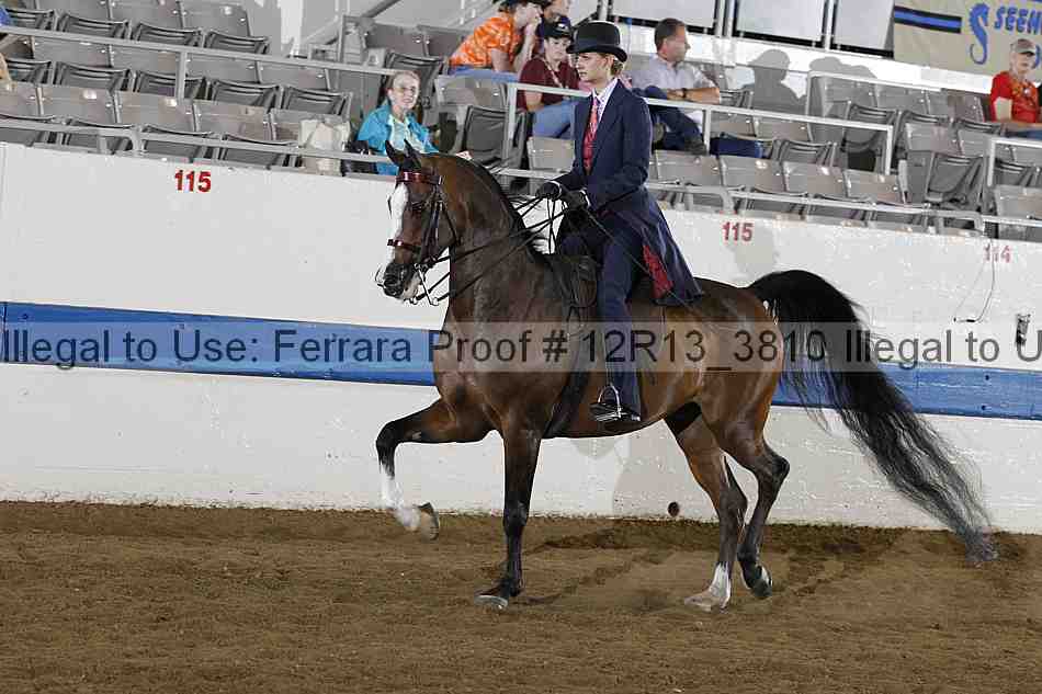Proof 12r13_3810