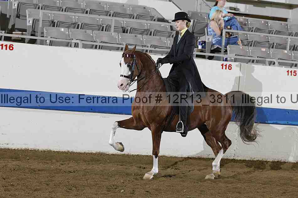 Proof 12r13_3811