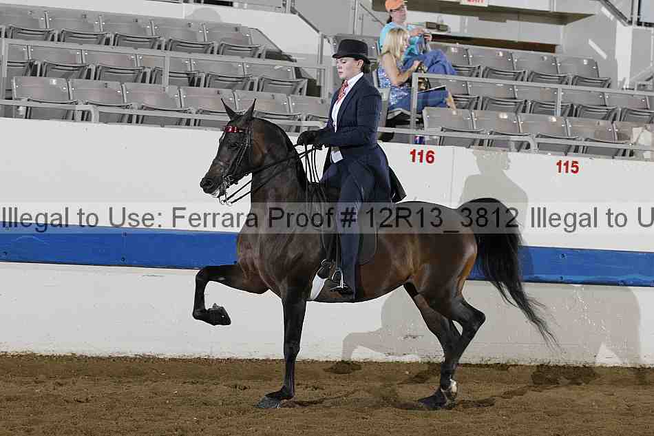 Proof 12r13_3812