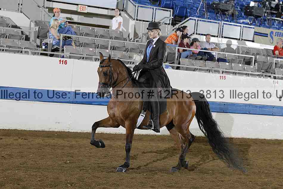 Proof 12r13_3813