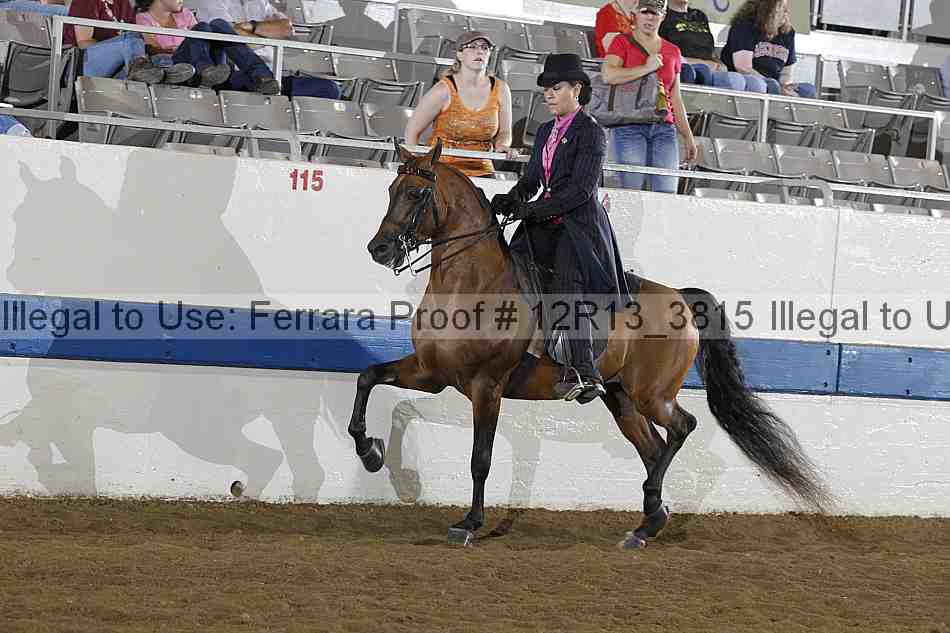 Proof 12r13_3815