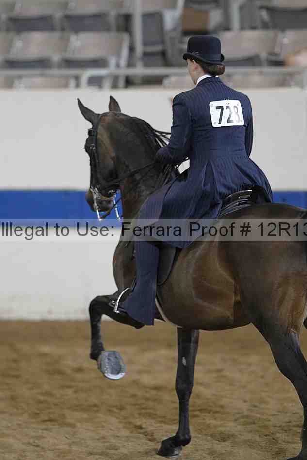 Proof 12r13_3816