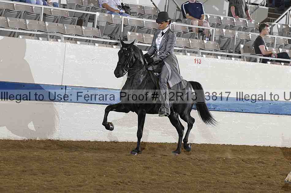 Proof 12r13_3817