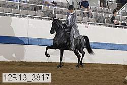 12r13_3817 proof