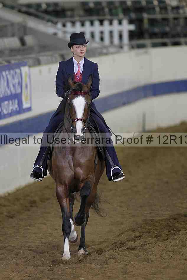 Proof 12r13_3818