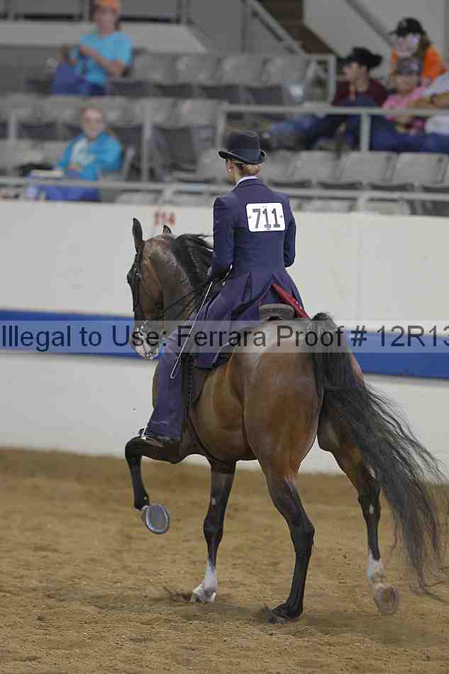 Proof 12r13_3819