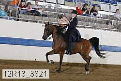 12r13_3821 proof