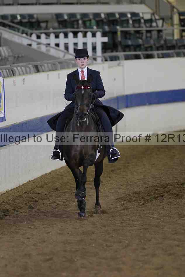 Proof 12r13_3824