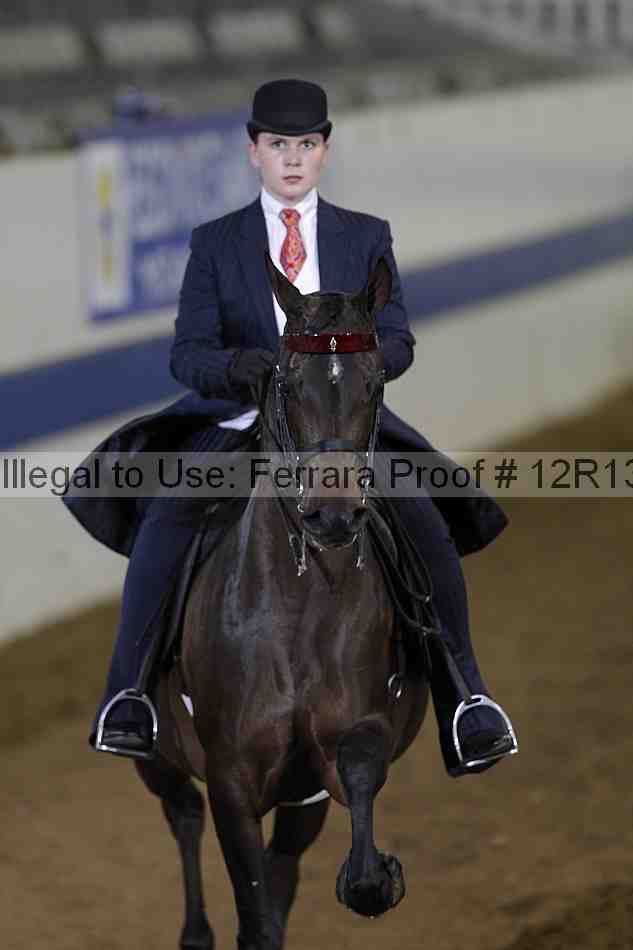 Proof 12r13_3825