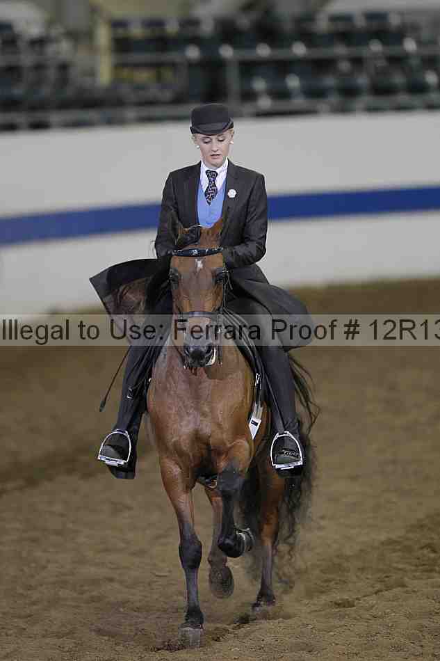 Proof 12r13_3826