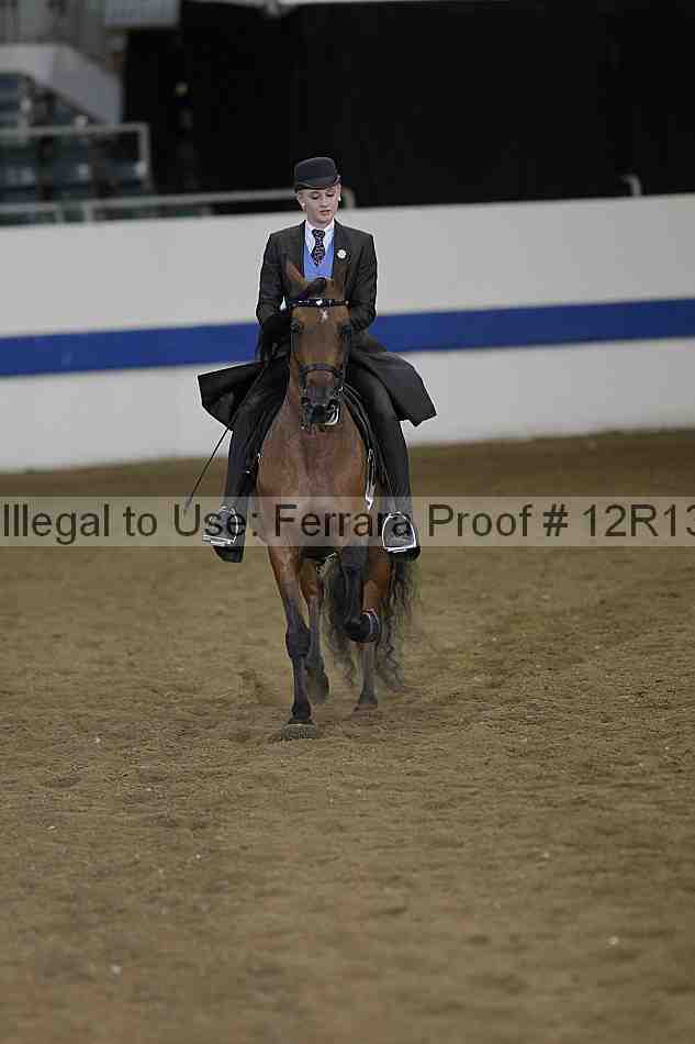 Proof 12r13_3833