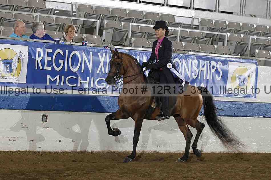 Proof 12r13_3841