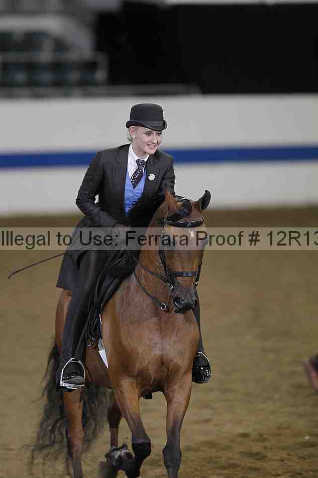 Proof 12r13_3843