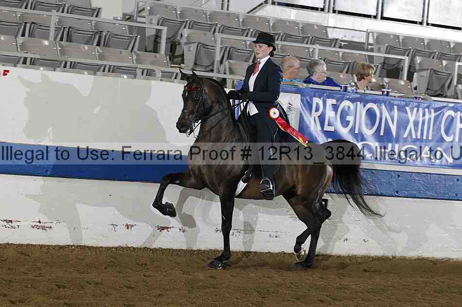 Proof 12r13_3844