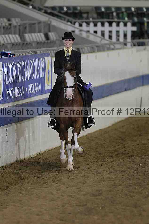 Proof 12r13_3845