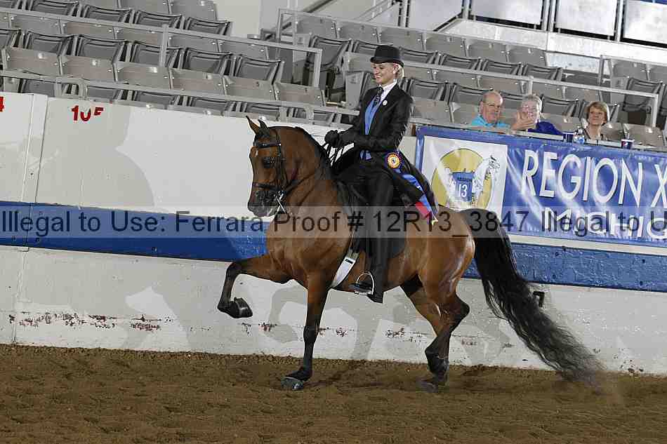 Proof 12r13_3847