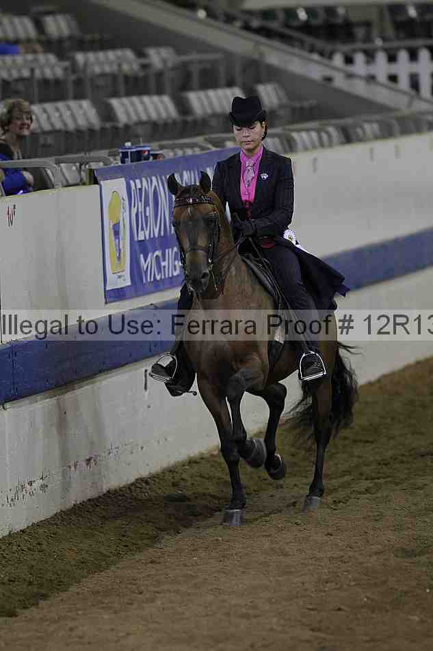 Proof 12r13_3849