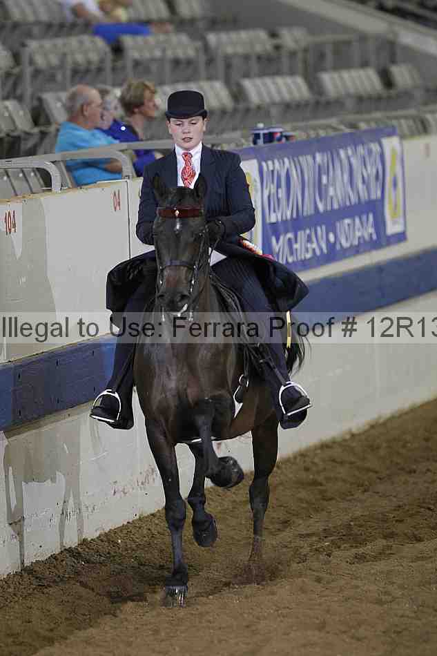 Proof 12r13_3853