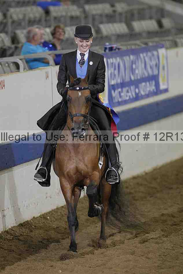 Proof 12r13_3855