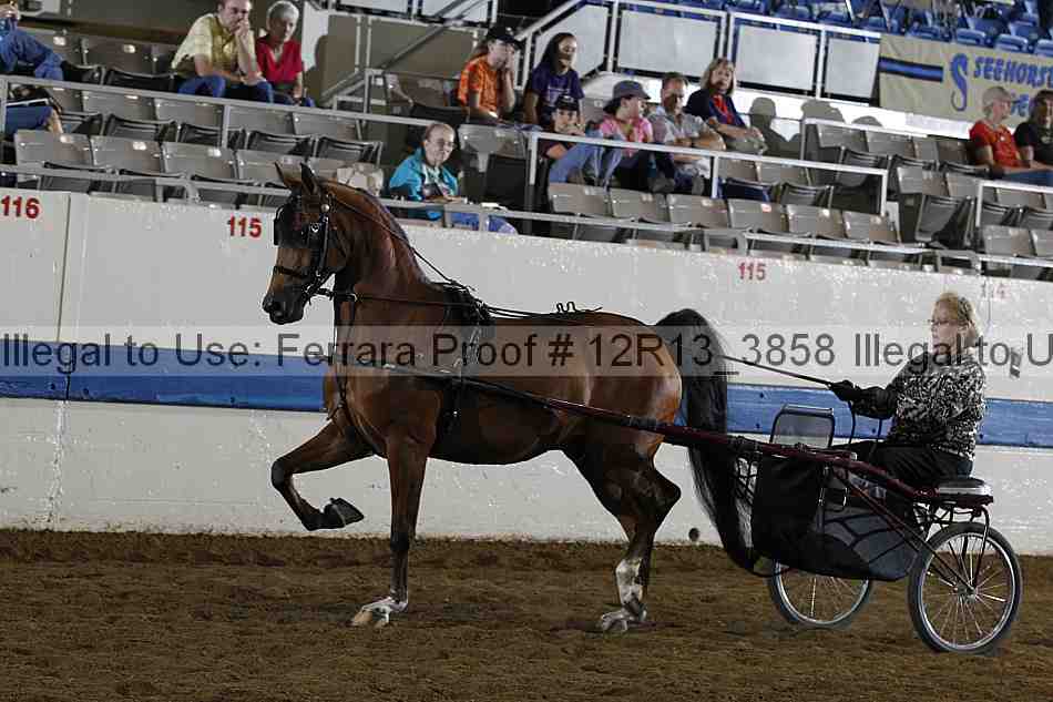 Proof 12r13_3858