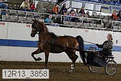 12r13_3858 proof