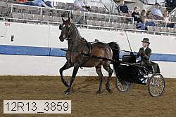 12r13_3859 proof