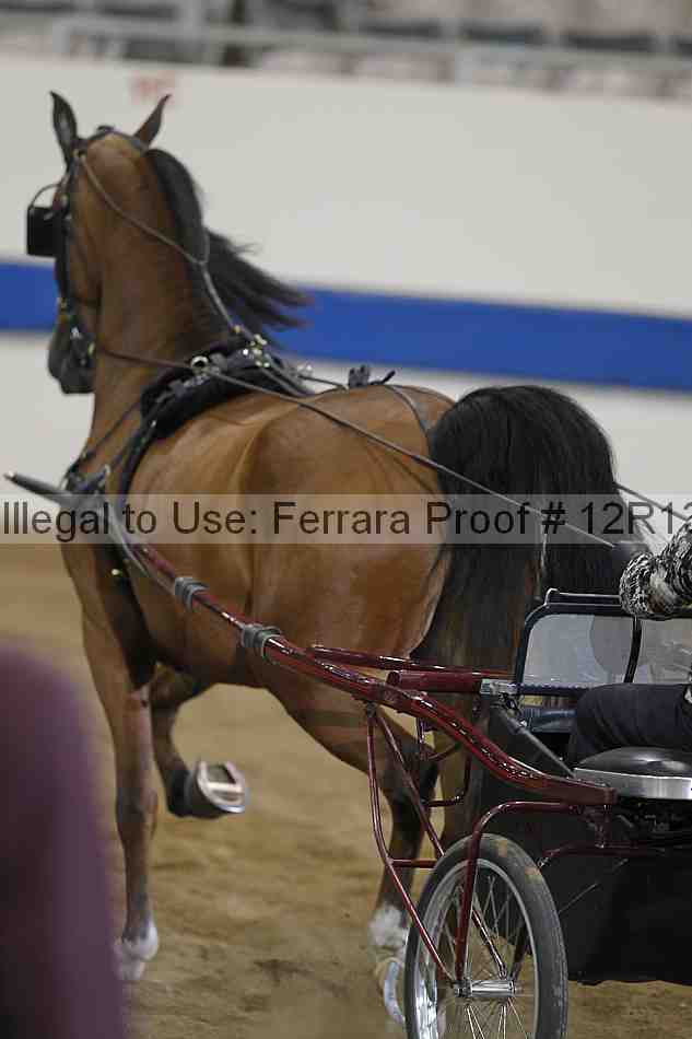 Proof 12r13_3860