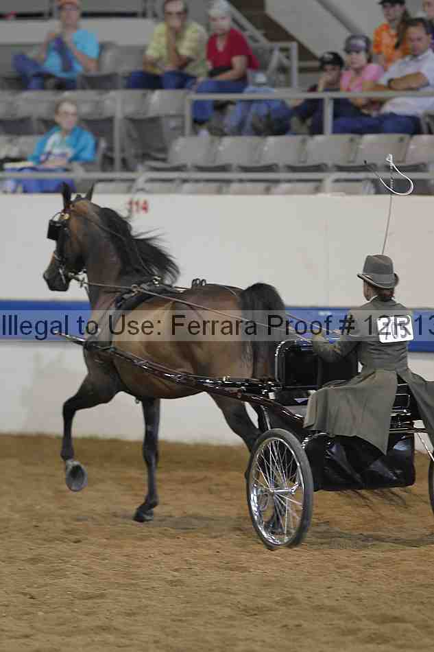 Proof 12r13_3863