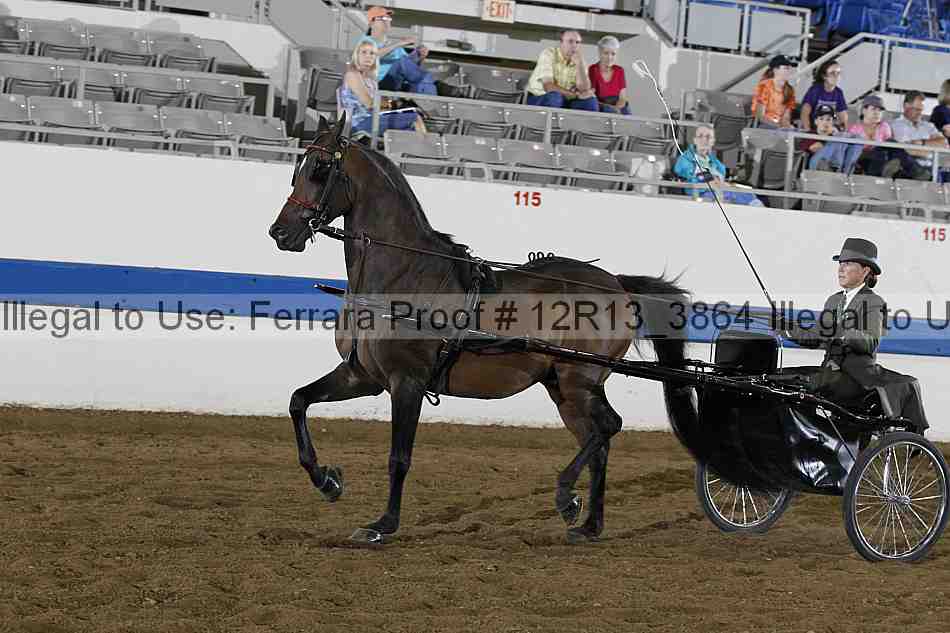 Proof 12r13_3864