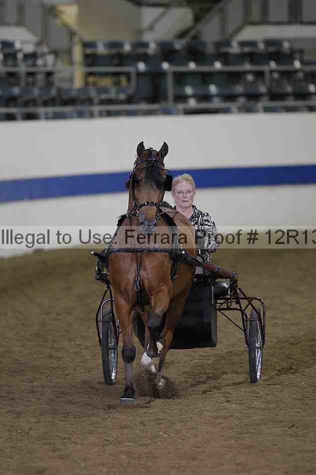 Proof 12r13_3865