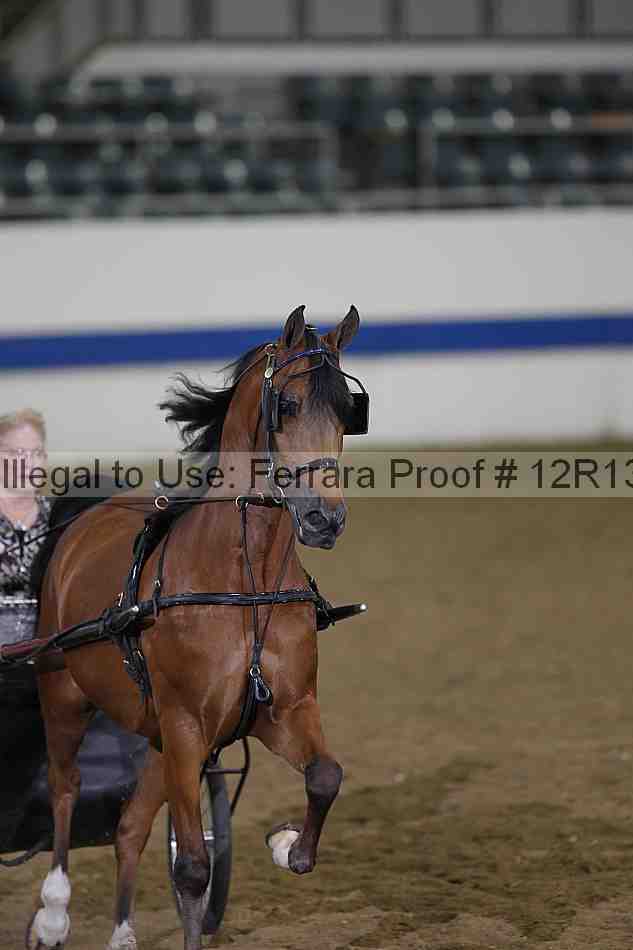 Proof 12r13_3866