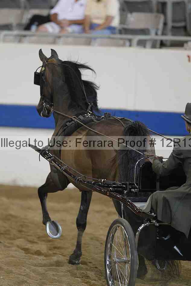 Proof 12r13_3872