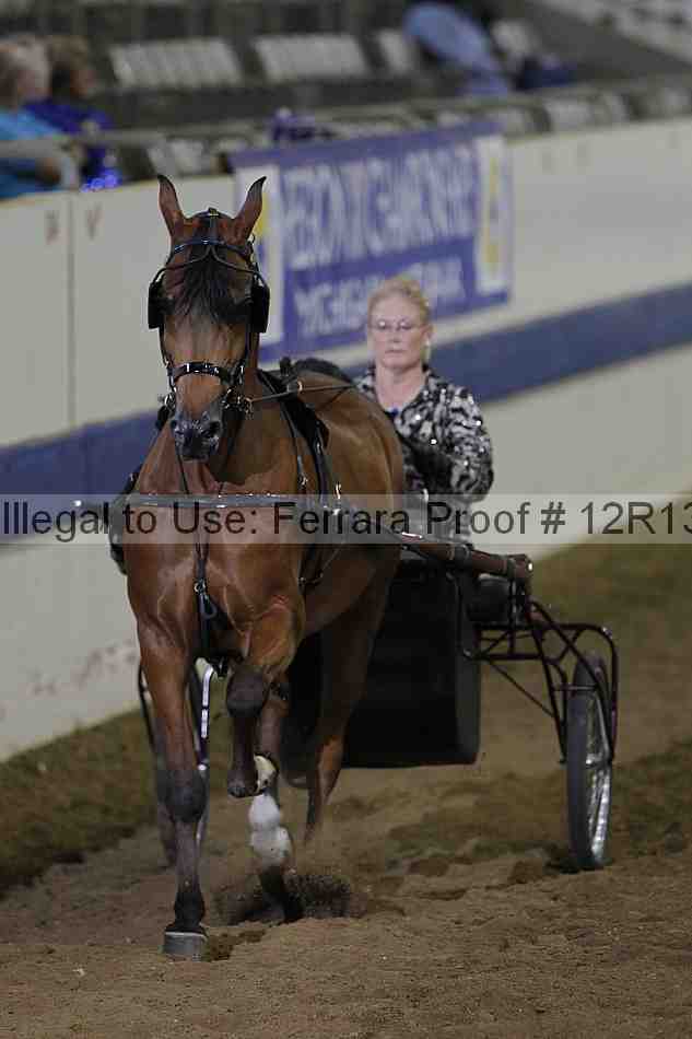 Proof 12r13_3875