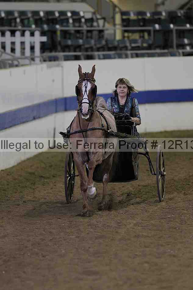 Proof 12r13_3876